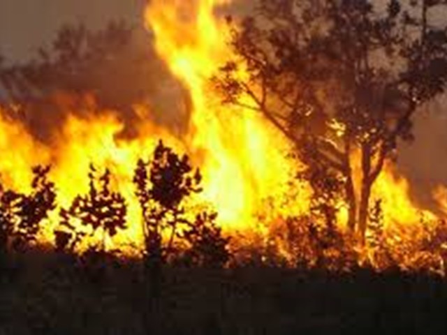 Prevenzione incendi e tutela del territorio comunale. Stagione estiva 2025. Immagine novità in apertura