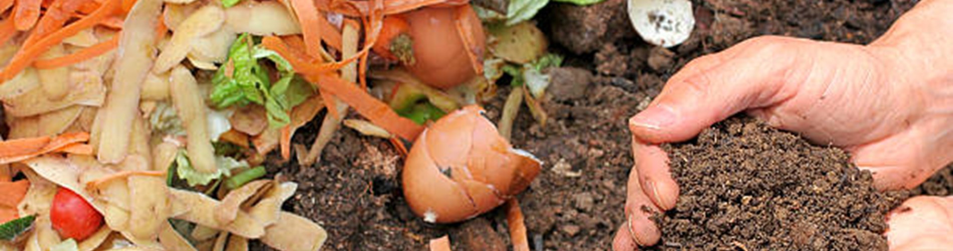 Corso di Compostaggio: Gestione delle risorse organiche per una agricoltura rigenerativa