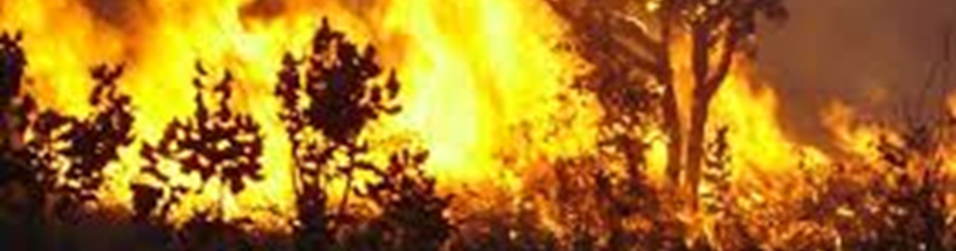 Prevenzione incendi e tutela del territorio comunale. Stagione estiva 2025. Prevenzione incendi e tutela del territorio comunale. Stagione estiva 2025.