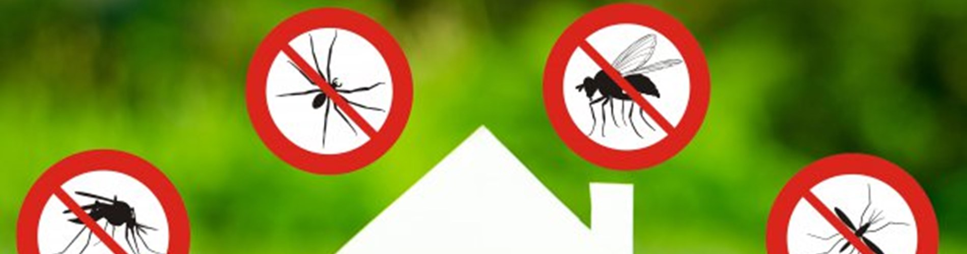 Interventi di Disinfezione e Disinfestazione Interventi di Disinfezione e Disinfestazione